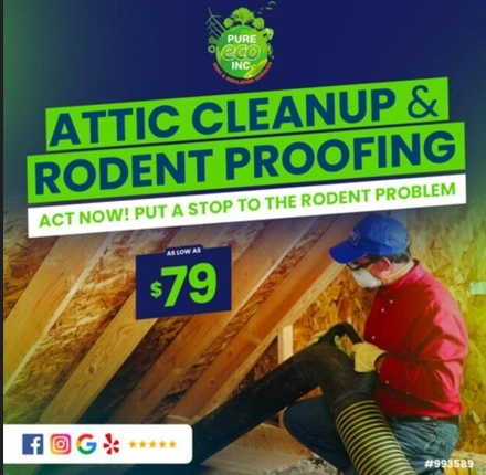 $79 - Attic Cleanup and Rodent Proofing - Discount from Pure Eco Inc